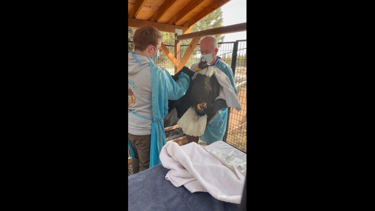 Central Oregon’s third injured