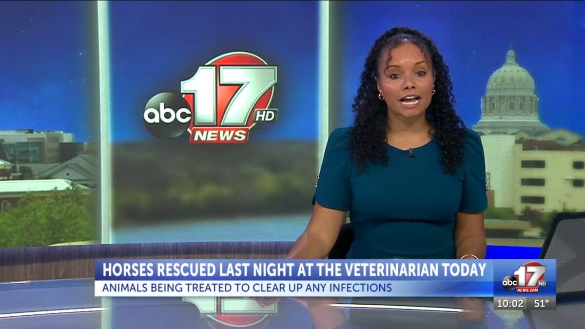 Large animal rescue training pays off in Boone County horse rescue