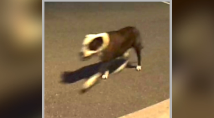 After three days of searching