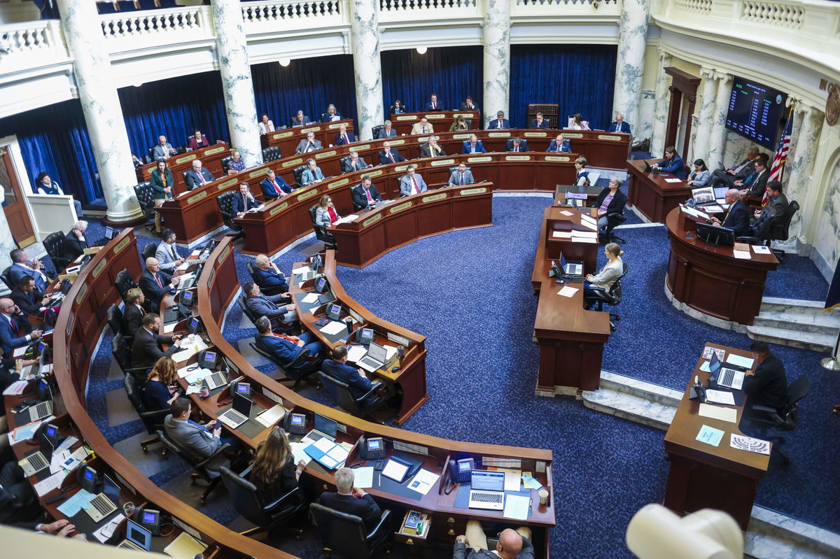 Idaho House lawmakers do ‘hostile’ takeover of E-Verify bill to mandate 287(g) agreements