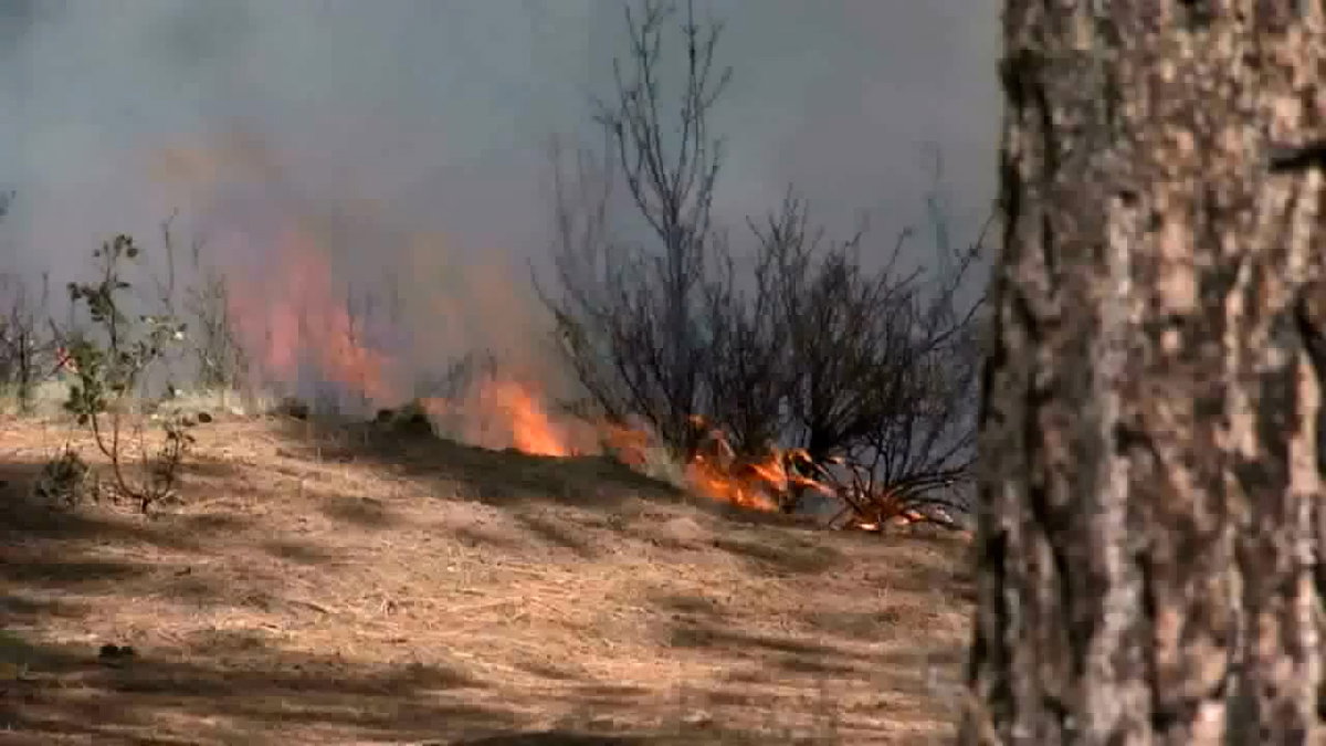 Prescribed burns across Central Oregon: how agencies track smoke and protect air quality