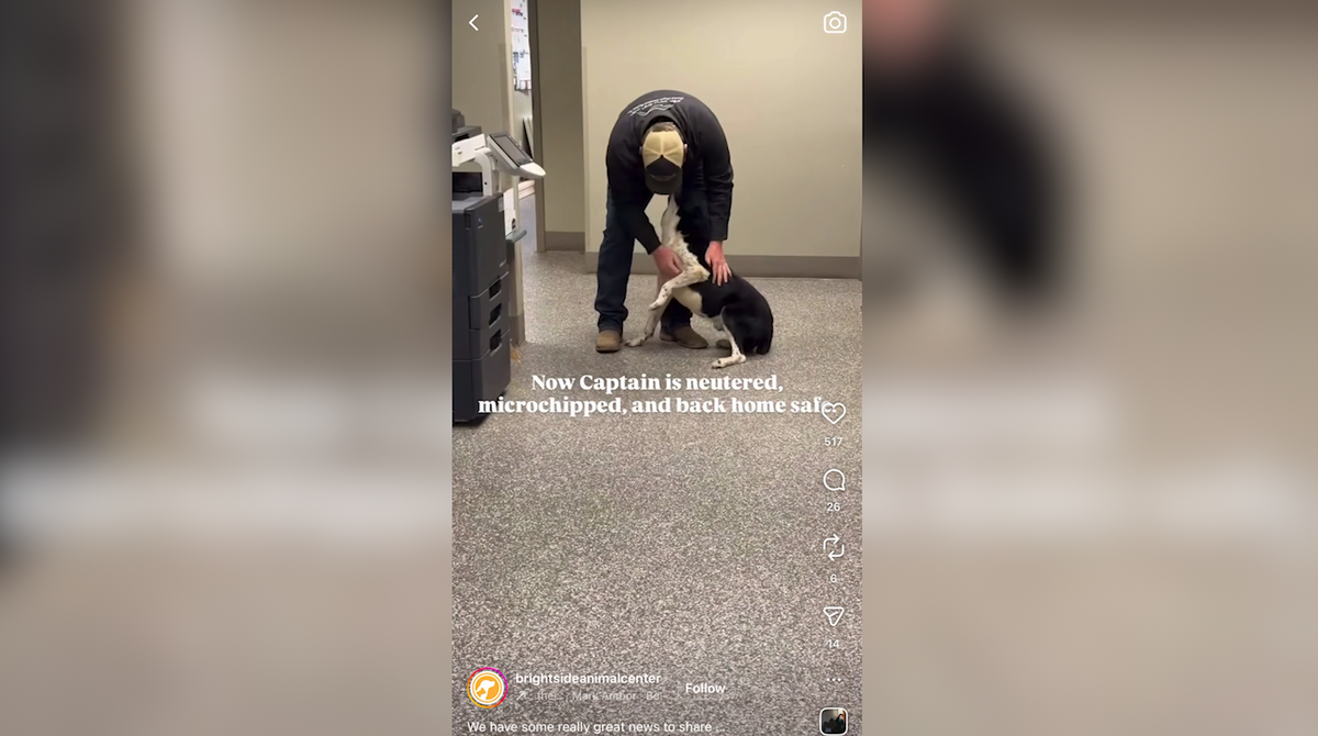 There’s Good News: A heartwarming reunion at BrightSide Animal Center in Redmond