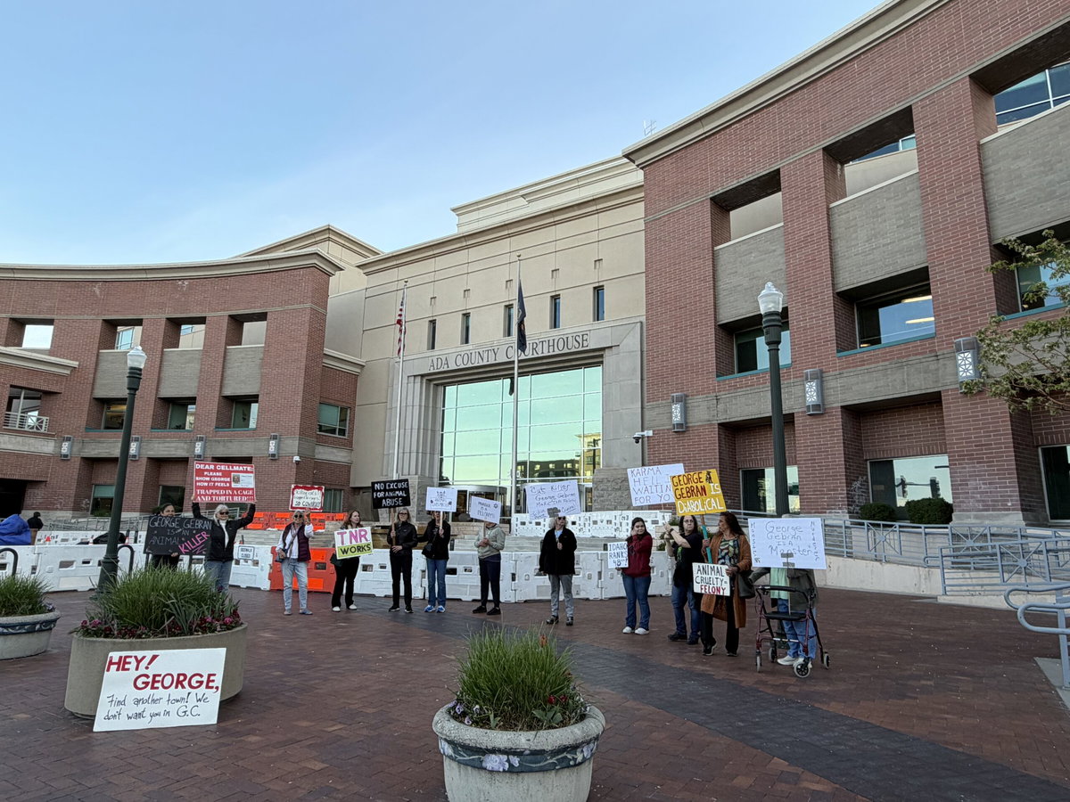 Protestors gather outside courtroom for Eagle man accused of shooting caged cat