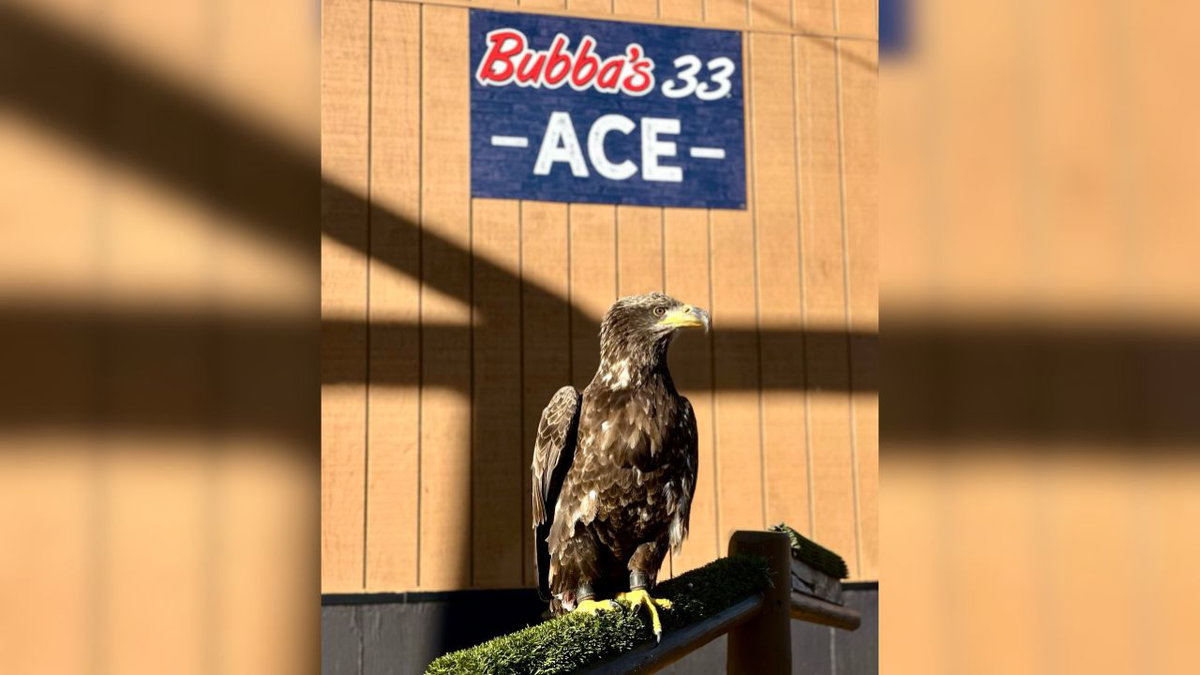 Bubba’s 33 to hold fundraiser benefitting American Eagle Foundation