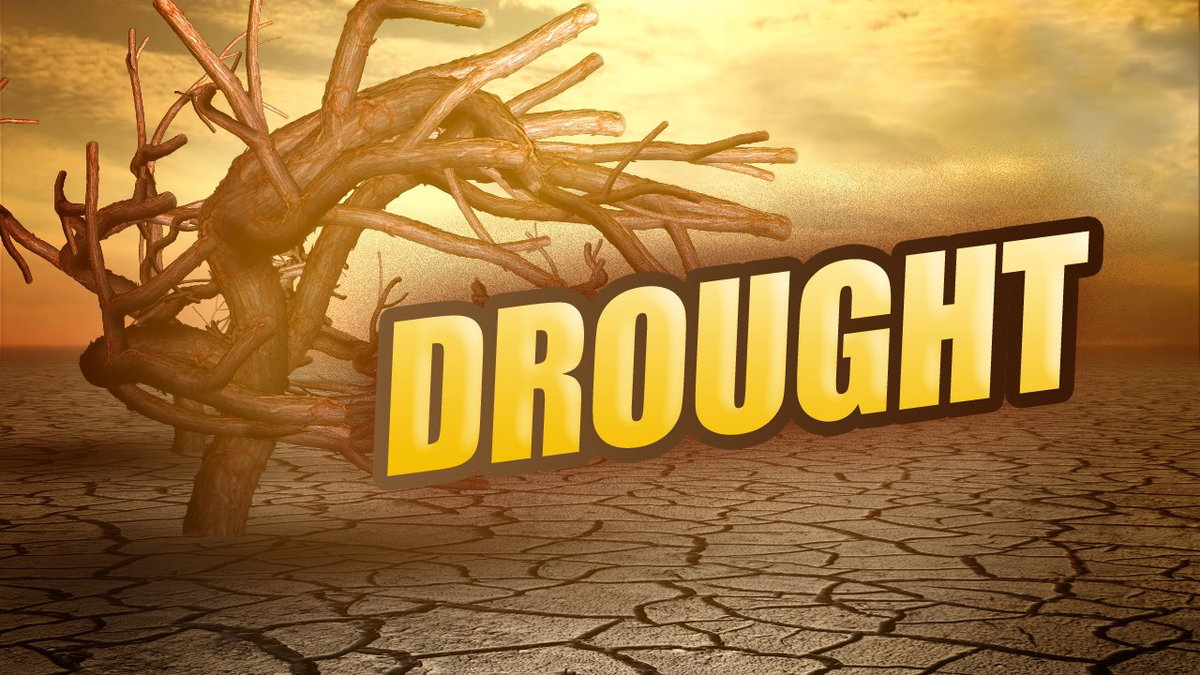 IDWR and Gov. Little issue emergency drought declaration for all 44 Idaho counties
