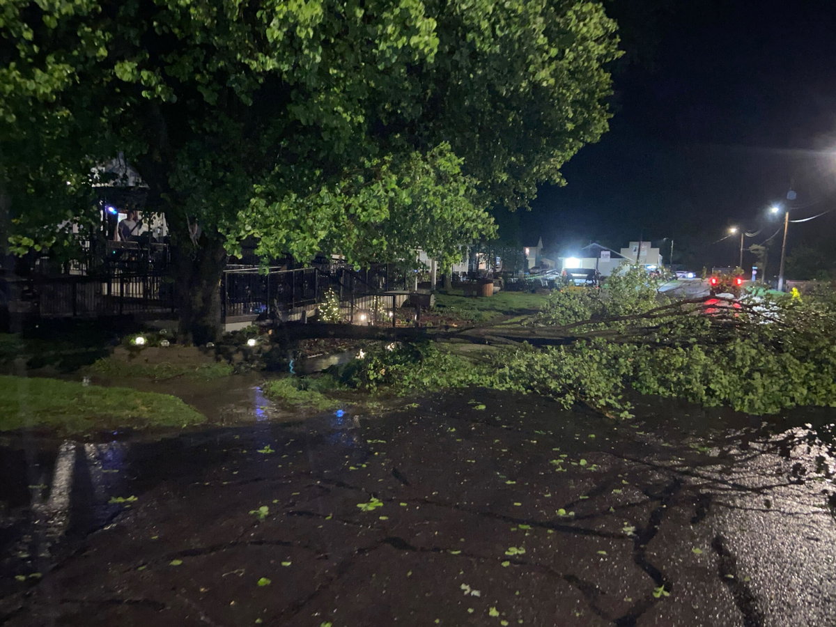 Trees down in Mid-Missouri after storms roll through