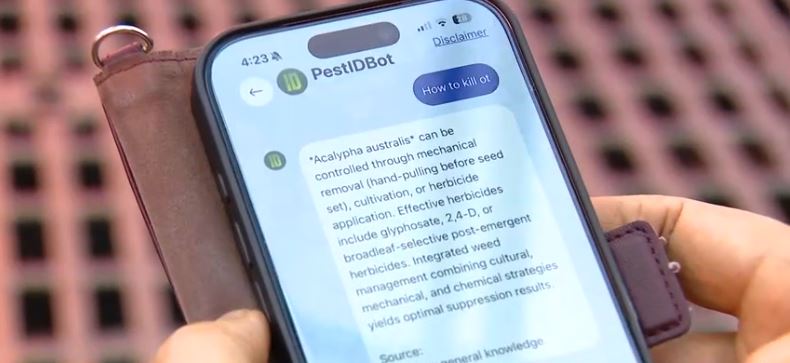 Iowa State researchers are developing an app that uses artificial intelligence to help farmers identify pests on their land.