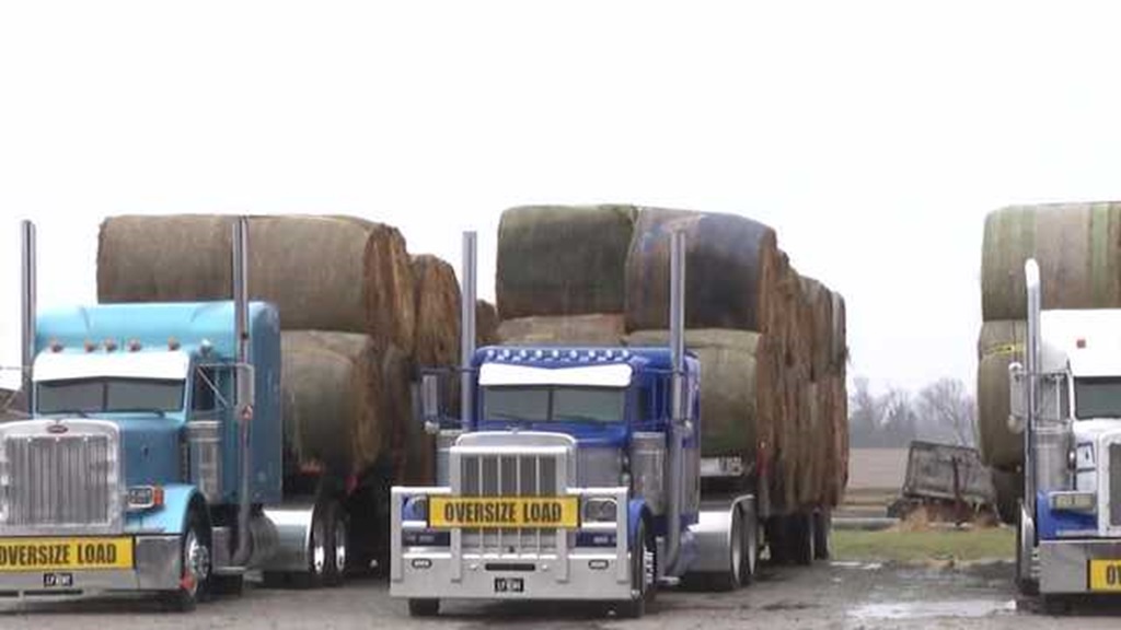 A convoy of kindness is heading west.