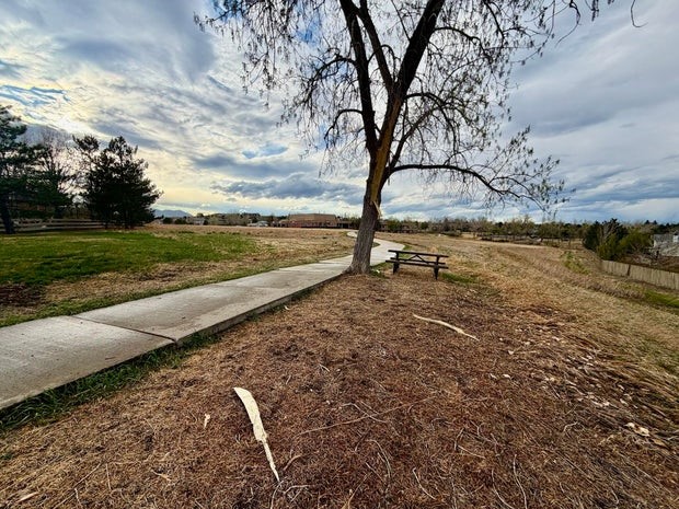 The Boulder County Sheriff's Office is hoping someone can help them identify a woman who was seriously injured when she was struck by lightning on Thursday.