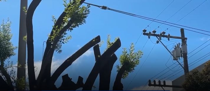 A San Francisco homeowner is facing a series of fines totaling $50