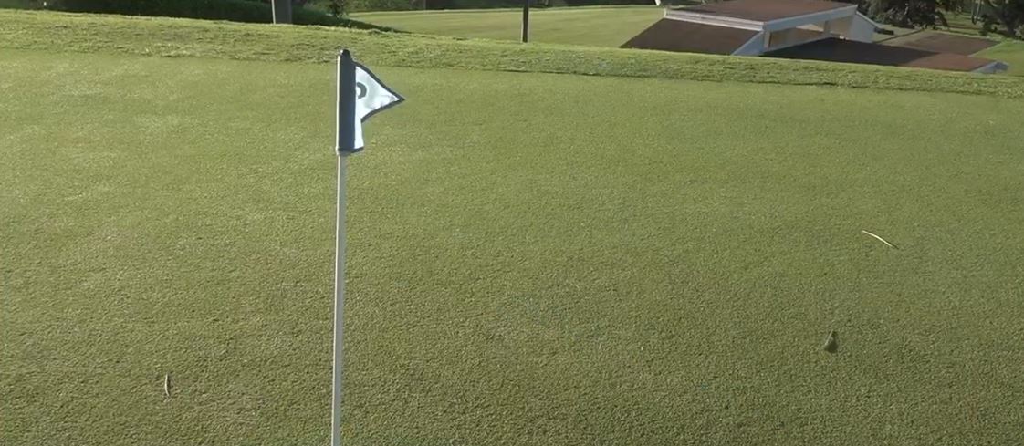 The charities help Hawaii's women