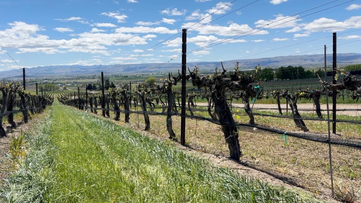 Drought conditions are not new to Idaho’s agricultural industry