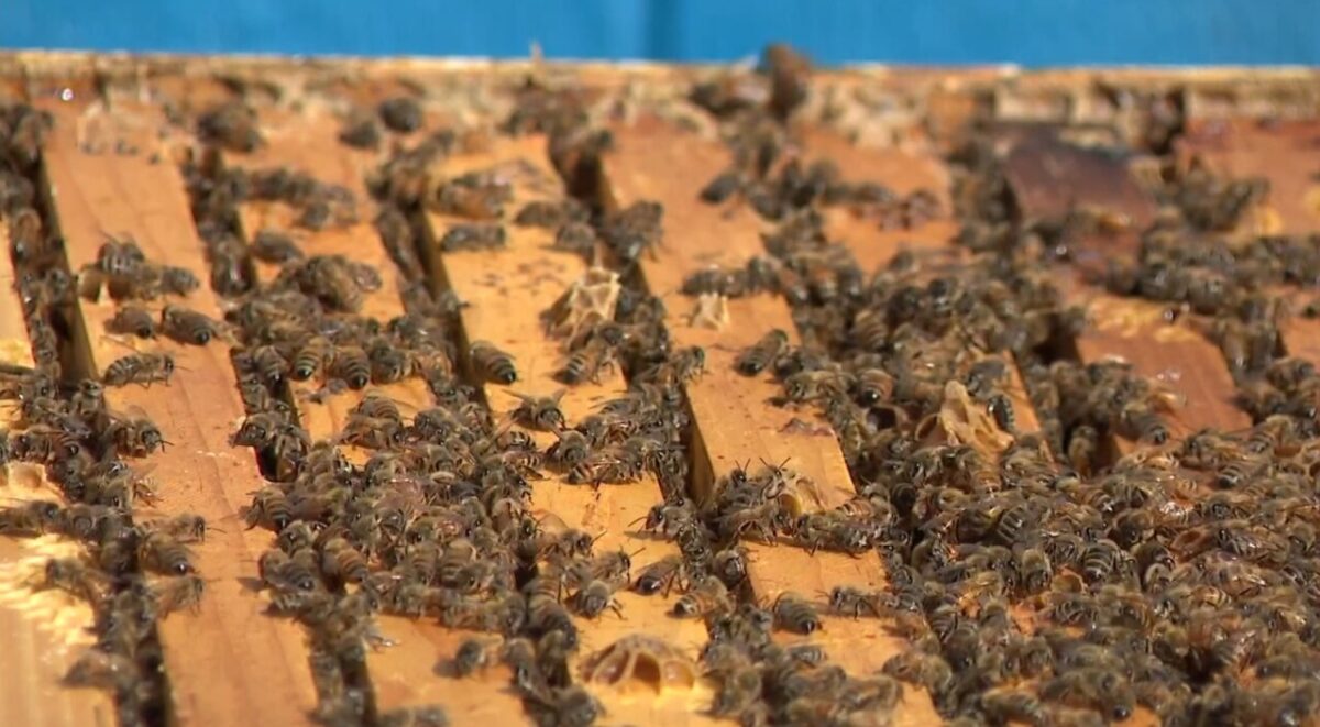 It’s finally spring