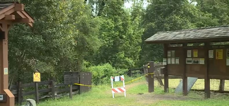 A hike into the Big Sur wilderness turned deadly for a woman whose body was found Thursday afternoon along the Pine Ridge Trail near Sykes Hot Springs.