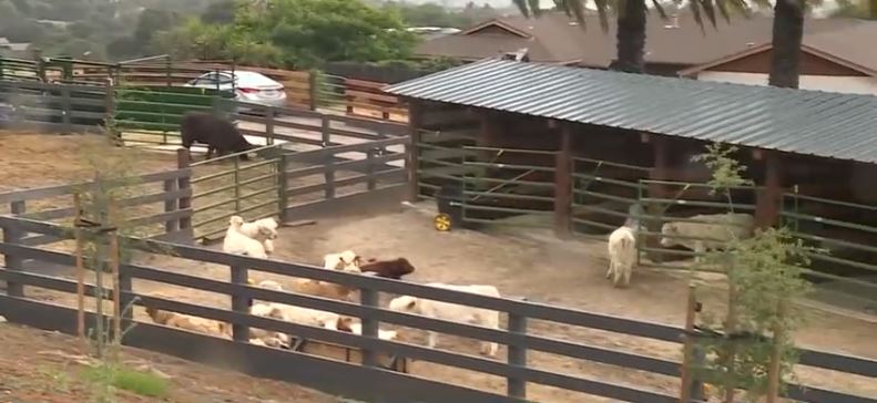 Two popular Monterey County businesses