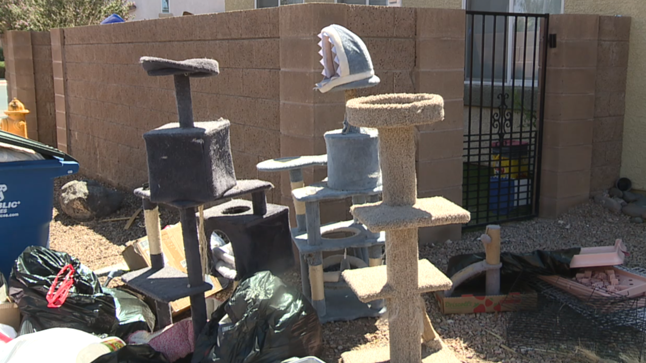 The City of Henderson Animal Protection Services removed more than 40 animals from a home where officials say they were living in unsafe and unsanitary conditions.
