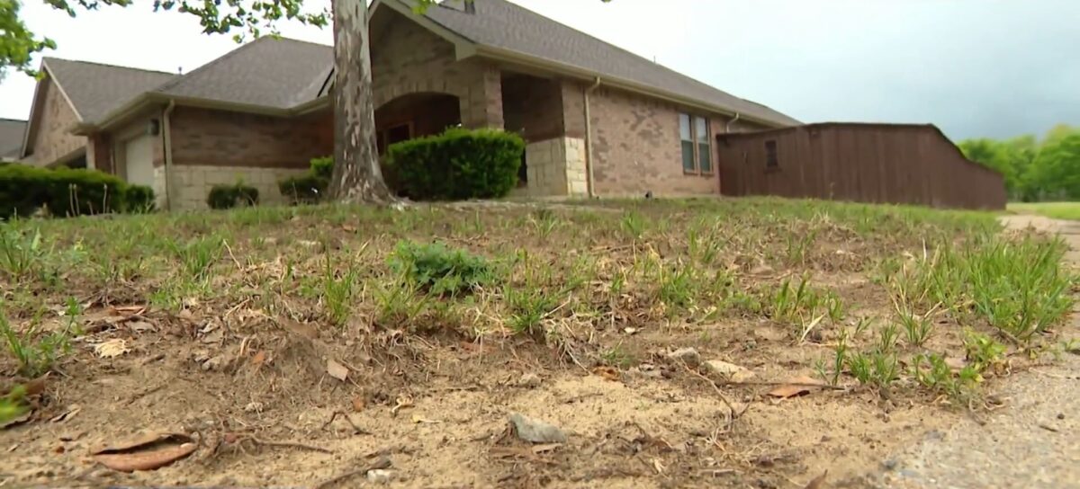 Residents in Mesquite are calling on the city to do something about an increase in feral hog sightings.