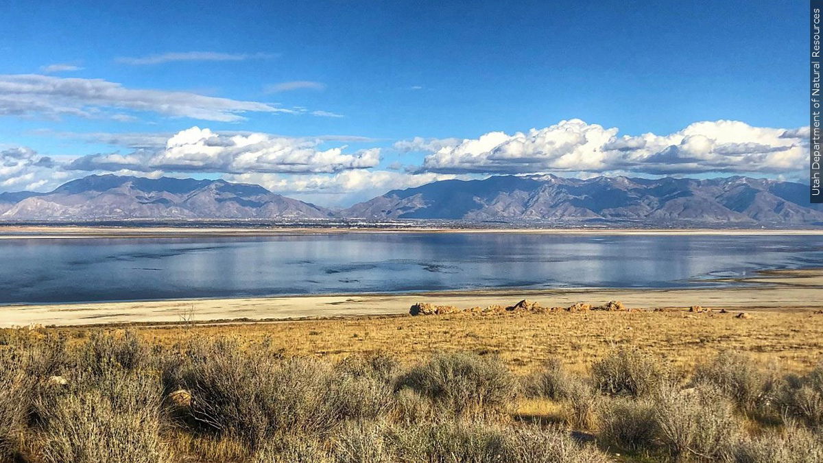University of Utah scientists have made a discovery that could help battle Great Salt Lake dust