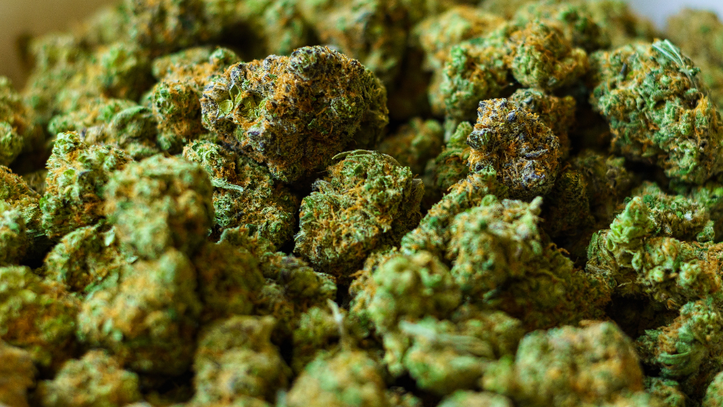 President Trump moves to reclassify state-licensed medical marijuana