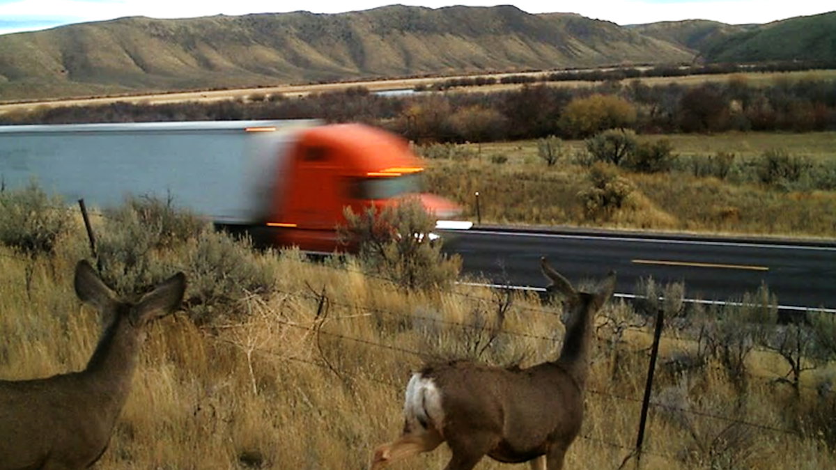 New US-30 wildlife crossings near Montpelier breaks ground this month