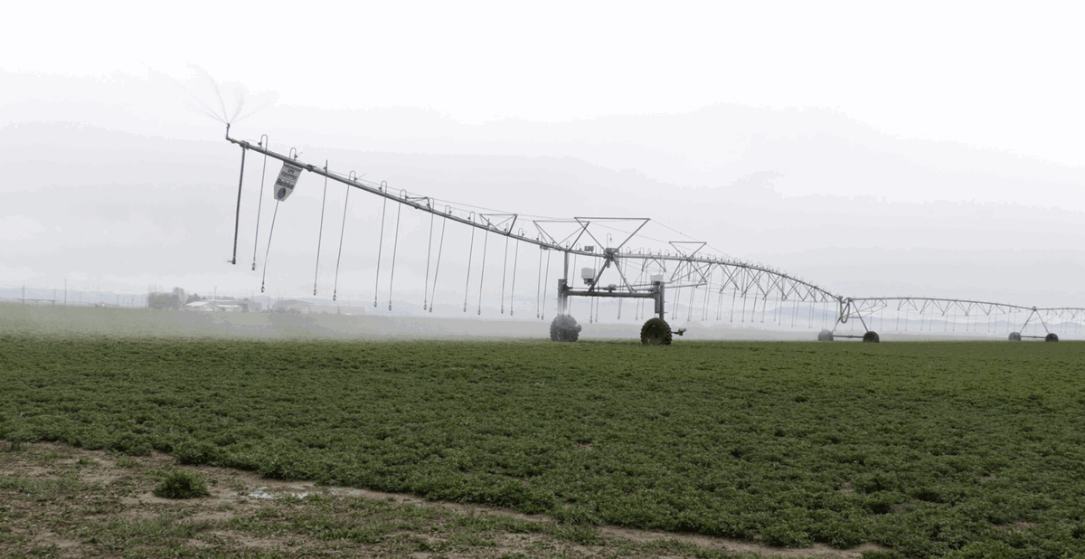 Severe drought may have farmers cutting back on crops