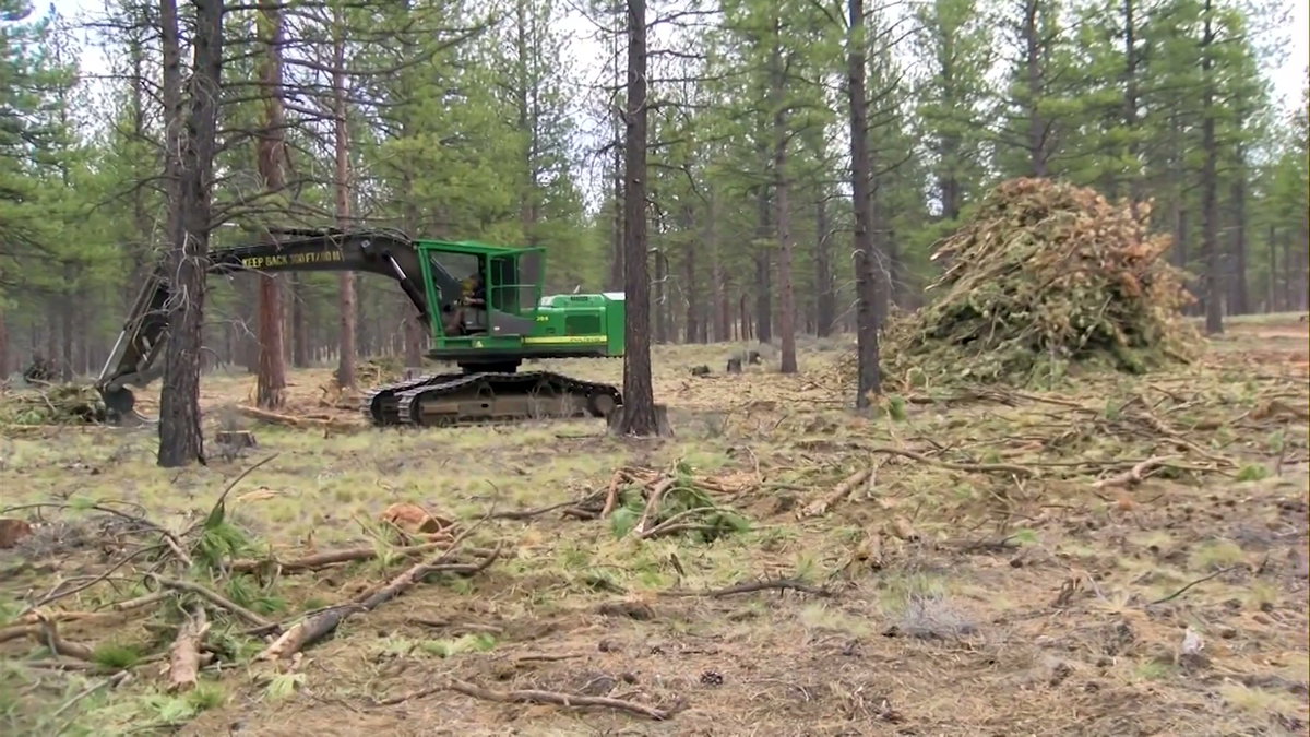 ‘The land is healing’: Closure of Cabin Butte area near China Hat extended as Deschutes National Forest continues restoration