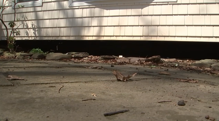 A Bergen County family says they have been sharing their home with a mother bear and her four cubs living right under their house.