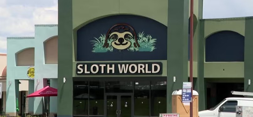 An investigation by the Florida Fish and Wildlife Conservation Commission (FWC) found that dozens of sloths intended for "Sloth World Orlando