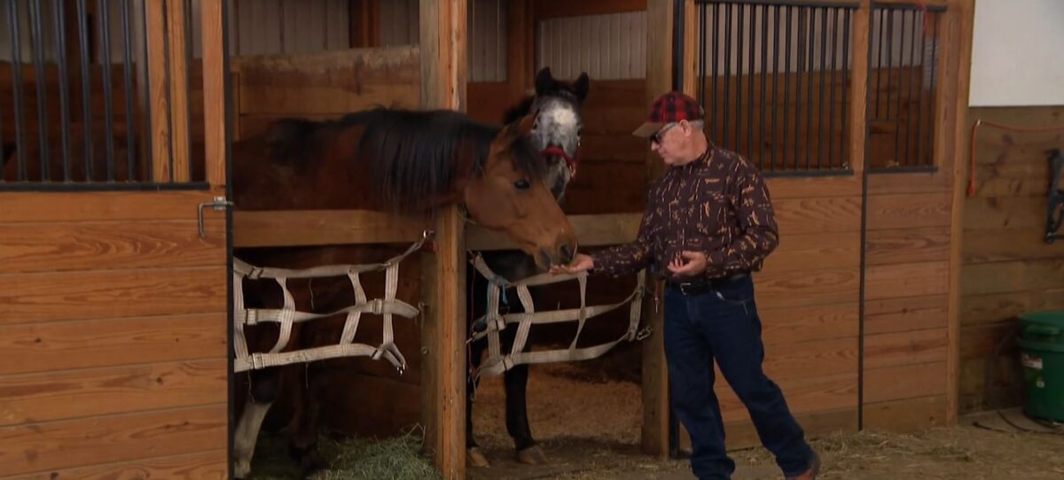 From flood victim to star of the show; one horse in McHenry County is having one heck of a week after dozens of rescuers saved his life over the weekend.