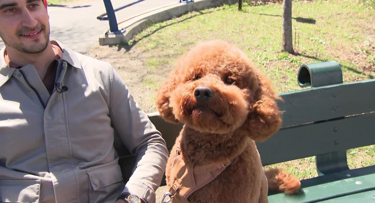 A Boston man says he's lucky to be alive after jumping into the Charles River to save his dog in a rescue effort that was caught on camera.