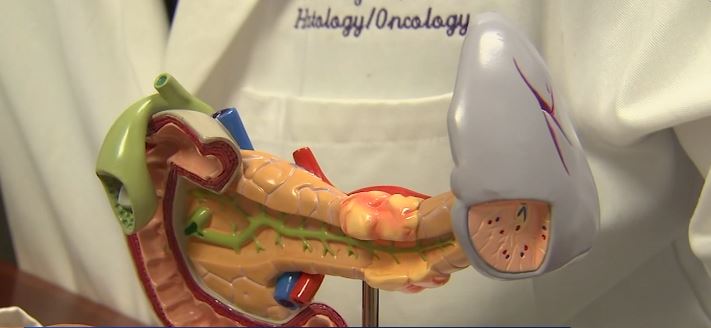 GI Oncologist Dr. Deva Mahalingam is the lead author for research published on Tuesday. He reports that the drug Elraglusib was created at Northwestern