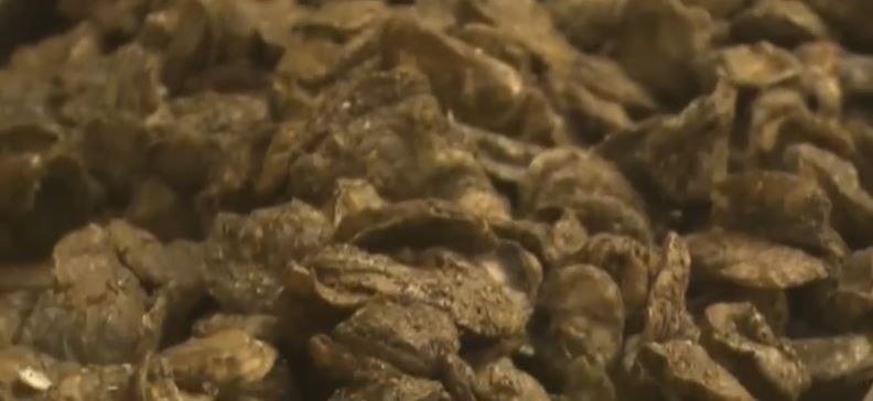 As of Thursday afternoon