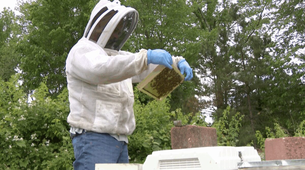 Carlos Velez is an ambassador for the American Parkinson's Disease Association. Beekeeping has grown into a passion of his and a way to navigate through his battle with the condition.
