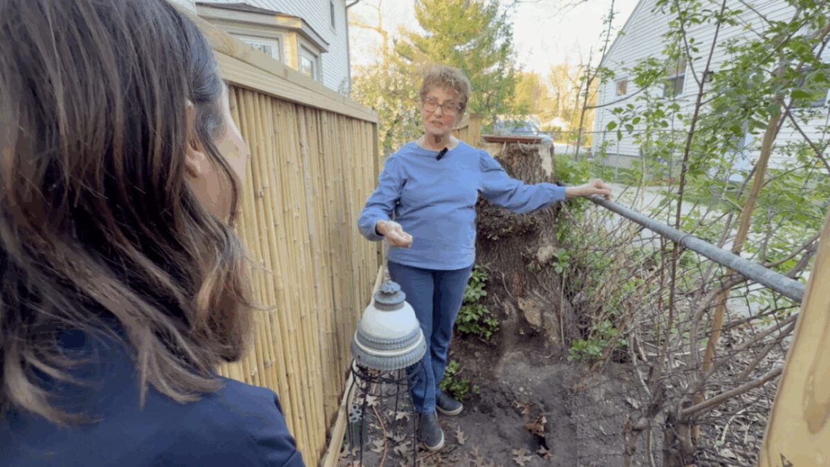 The Ferndale Rat Patrol has grown to more than 9