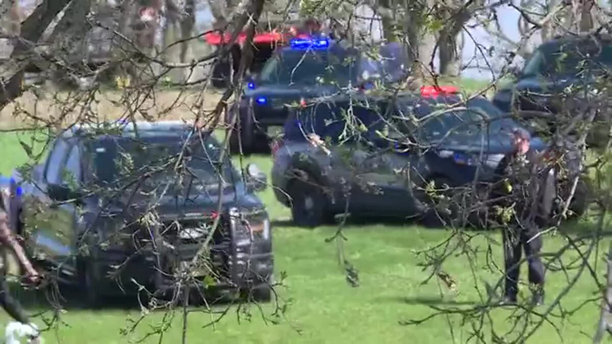 Animal rights activists stormed a farm in Blue Mounds Wisconsin on Saturday. The farm is accused of animal abuse.