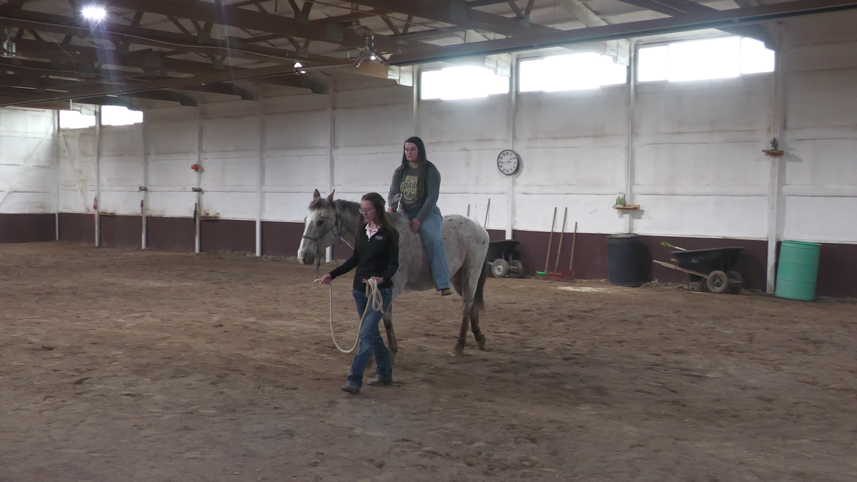 ‘It’s really hard to be a teenage girl these days’: Bridle Up Hope empowers women and girls through healing with horses