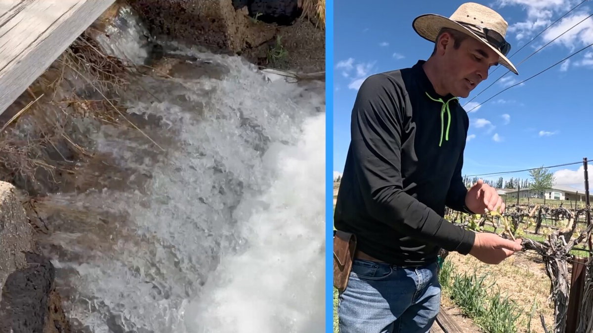 Idaho farmers face tough choices to keep permanent crops alive during the statewide drought emergency