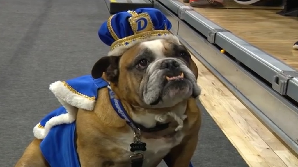 Flora’s journey to the crown is anything but ordinary. Rescued from a puppy mill