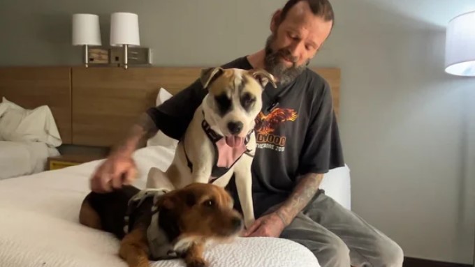 Michael Trump is pictured in an emergency hotel room with his two dogs.