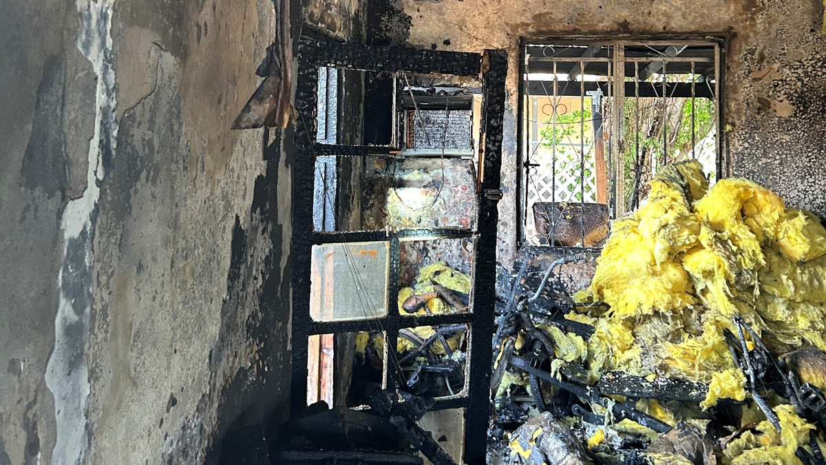 Two dogs rescued from home fire in Somerton