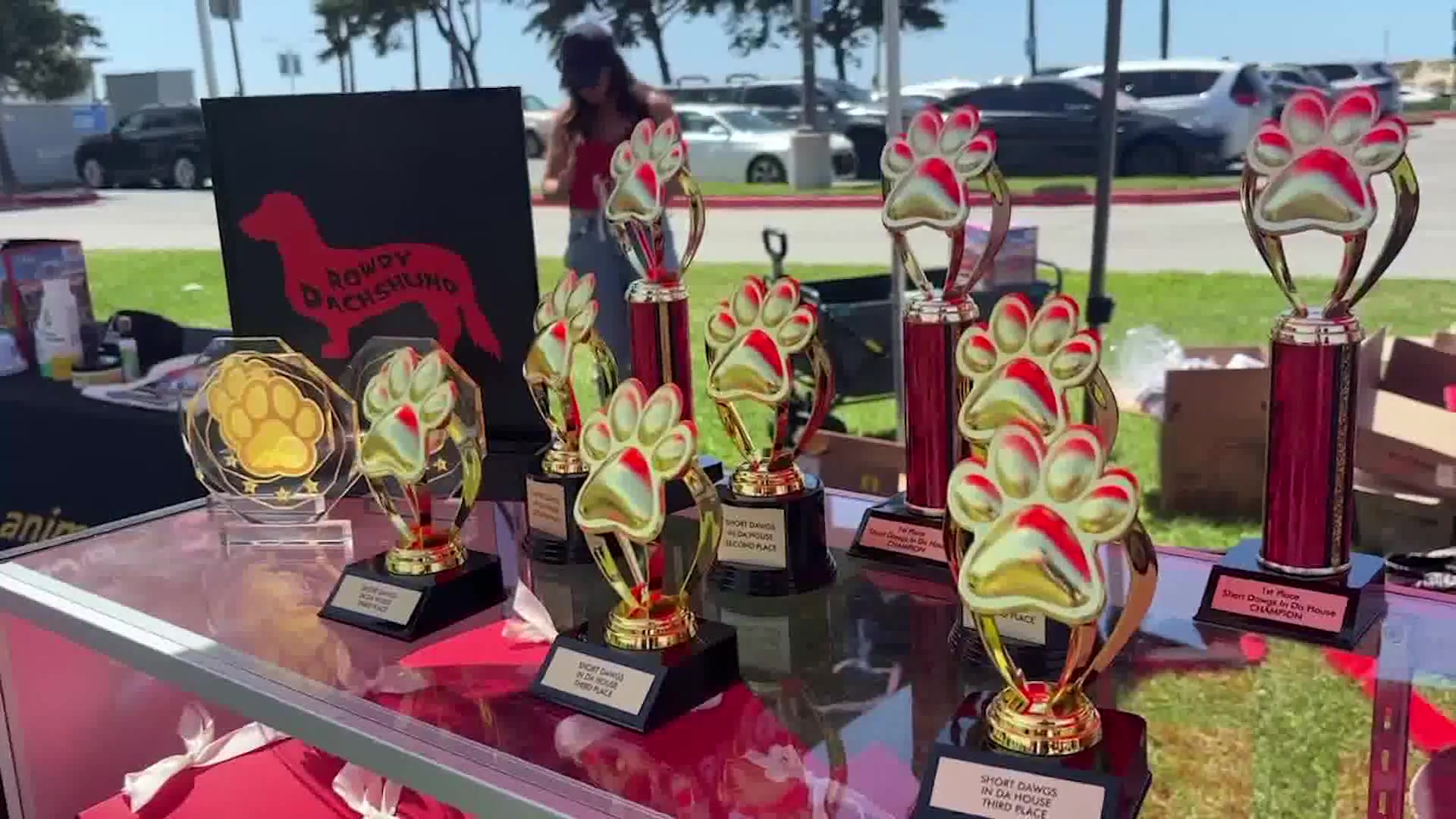 Short Dawgs in Da House brings dog-themed festival to Ventura Harbor Village