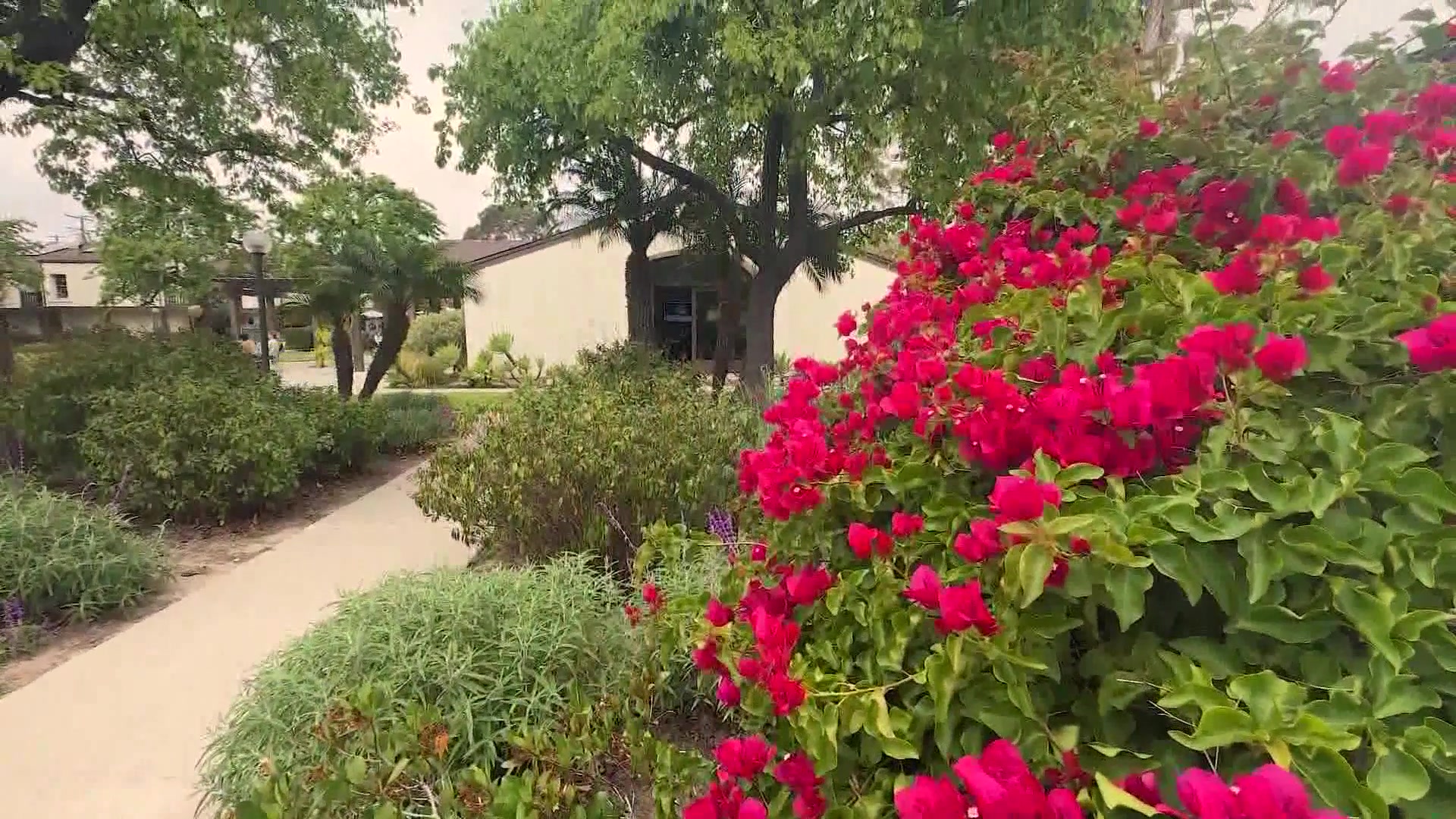 Housing Program Helps Local Couple Build Path to Independence