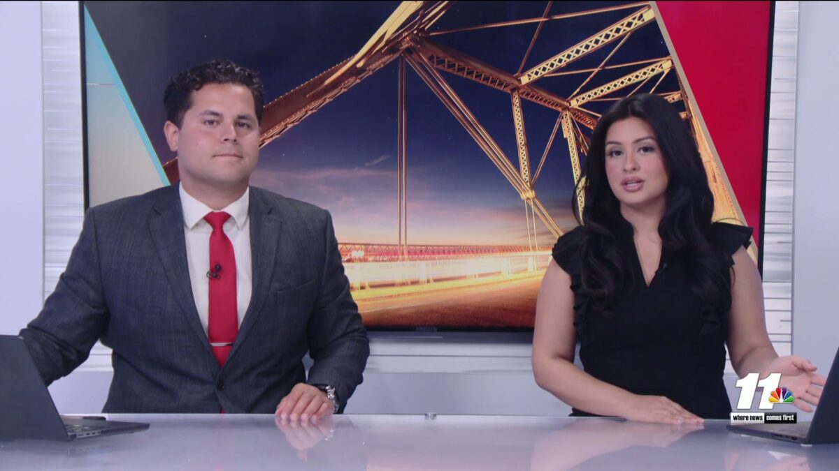 Flies continue to bug locals — experts offer tips to keep homes pest free