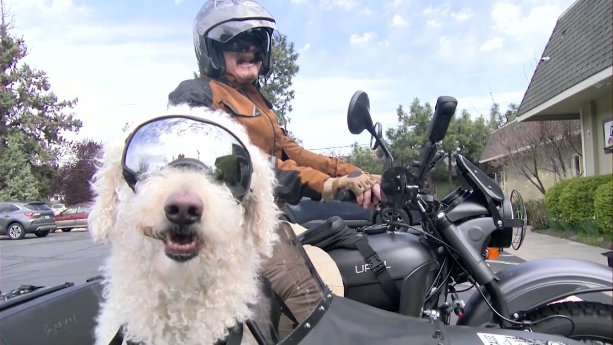 There’s Good News: Bend motorcyclist and sidecar sidekick hit the road with key message about organ donation