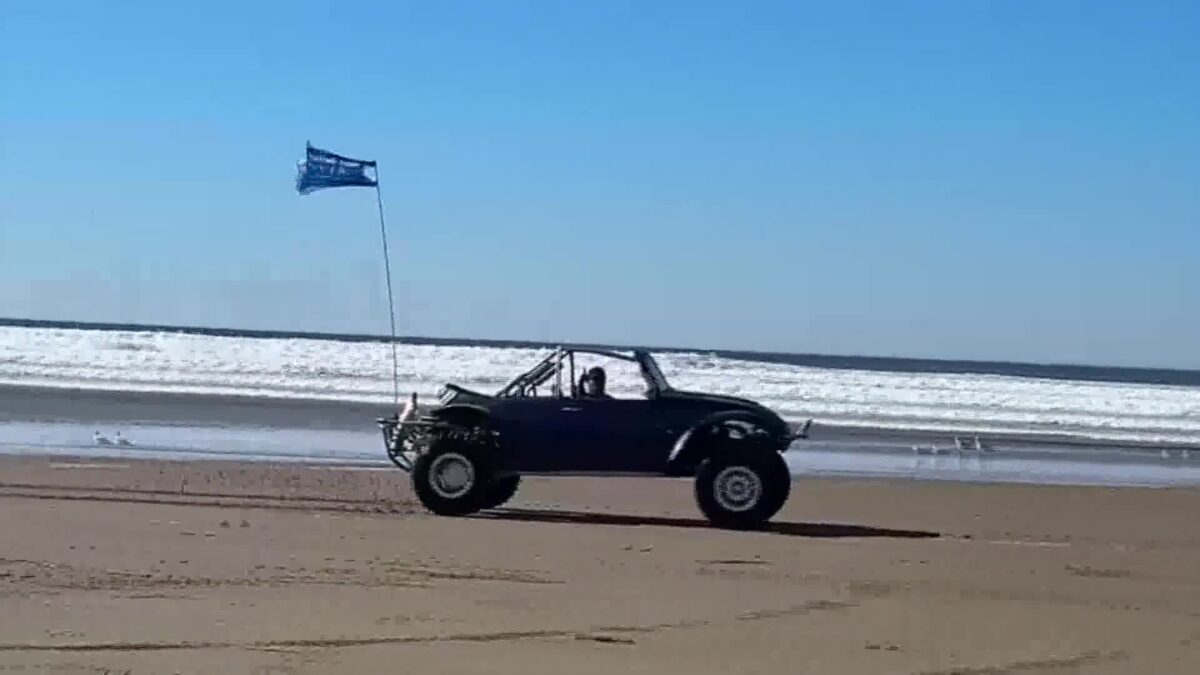 Court Reaffirms Ruling Against Off-Roading At Oceano Dunes Threatened Species Habitats