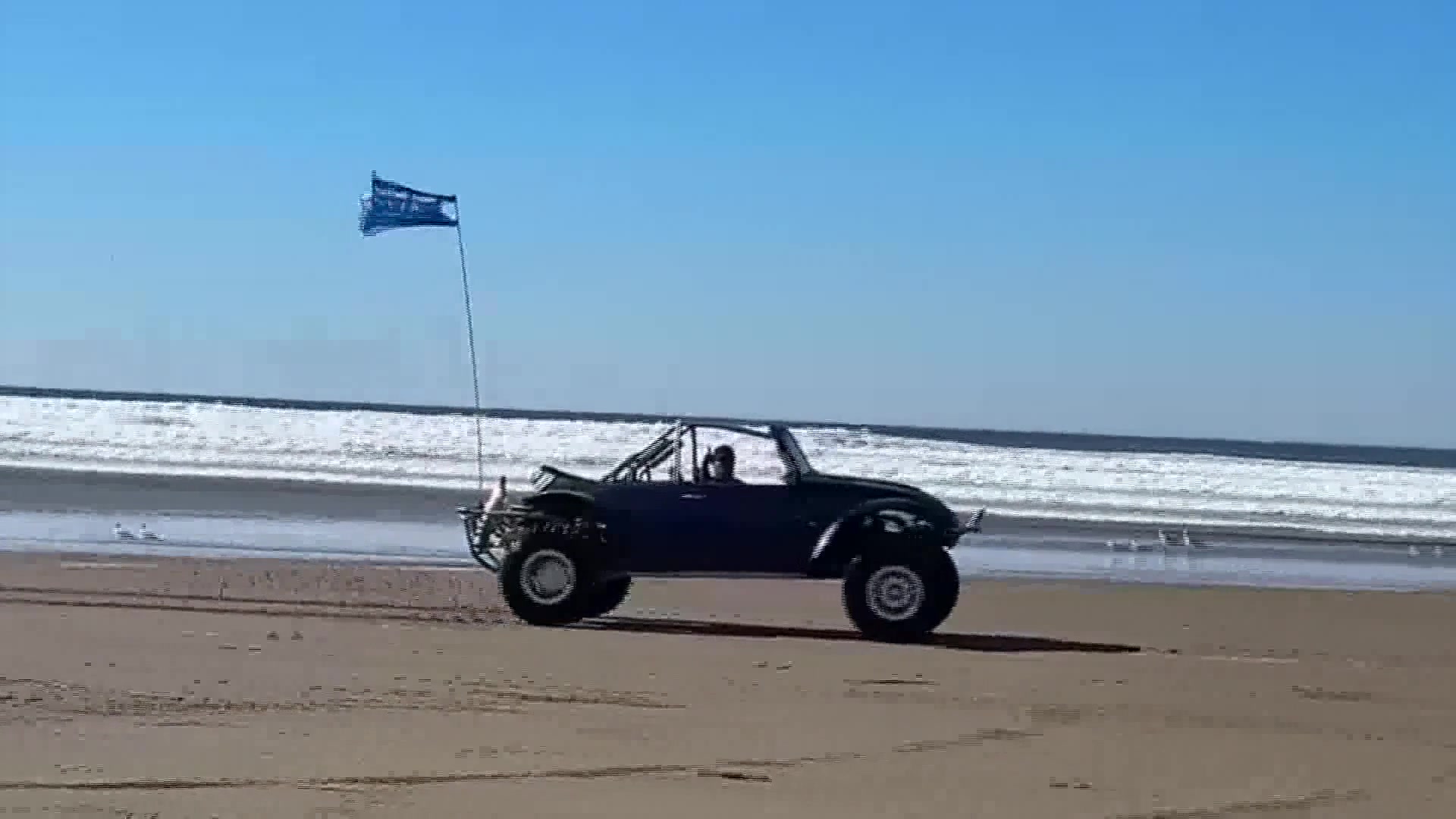 Court Reaffirms Ruling Against Off-Roading At Oceano Dunes Threatened Species Habitats