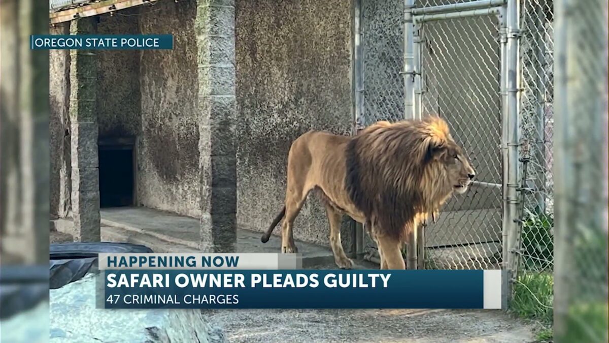 Oregon safari owner pleads guilty to animal neglect