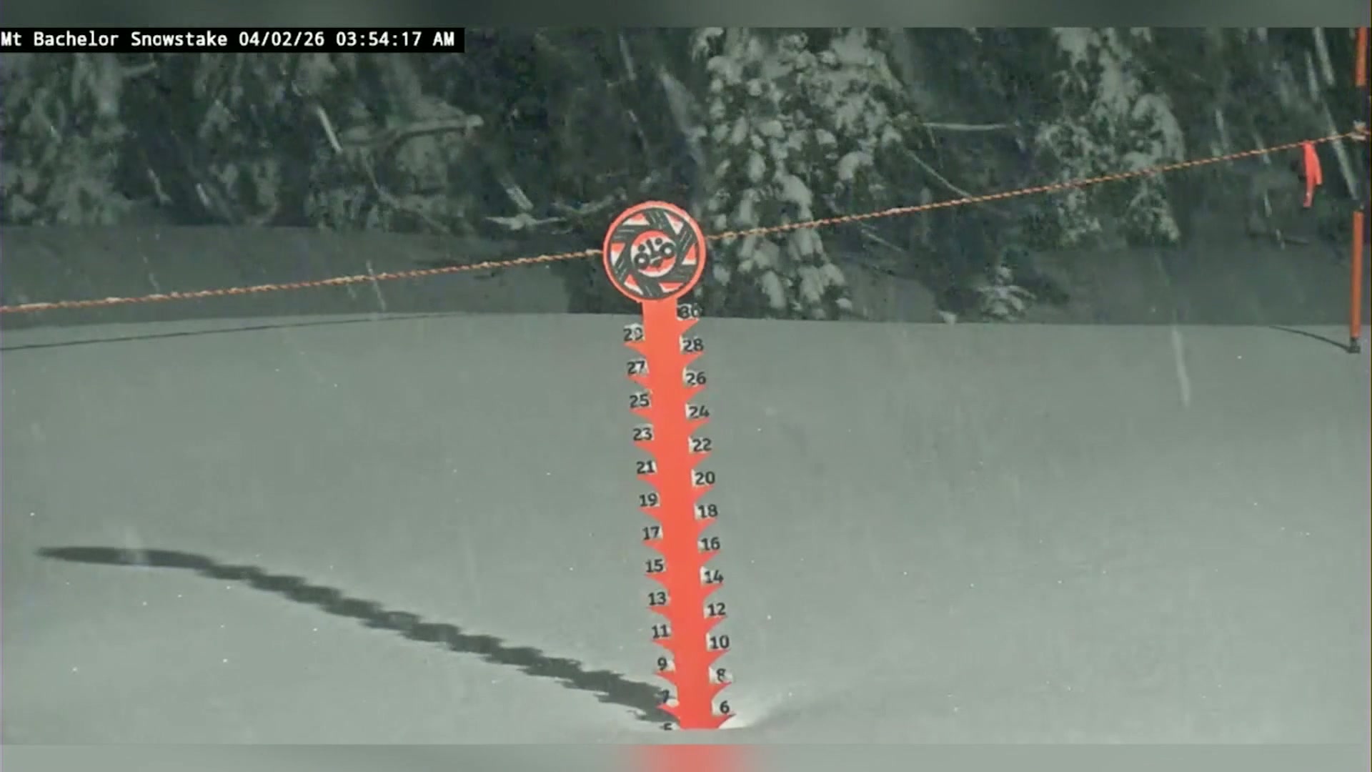There’s Good News: Fresh snow is falling on Mt. Bachelor!