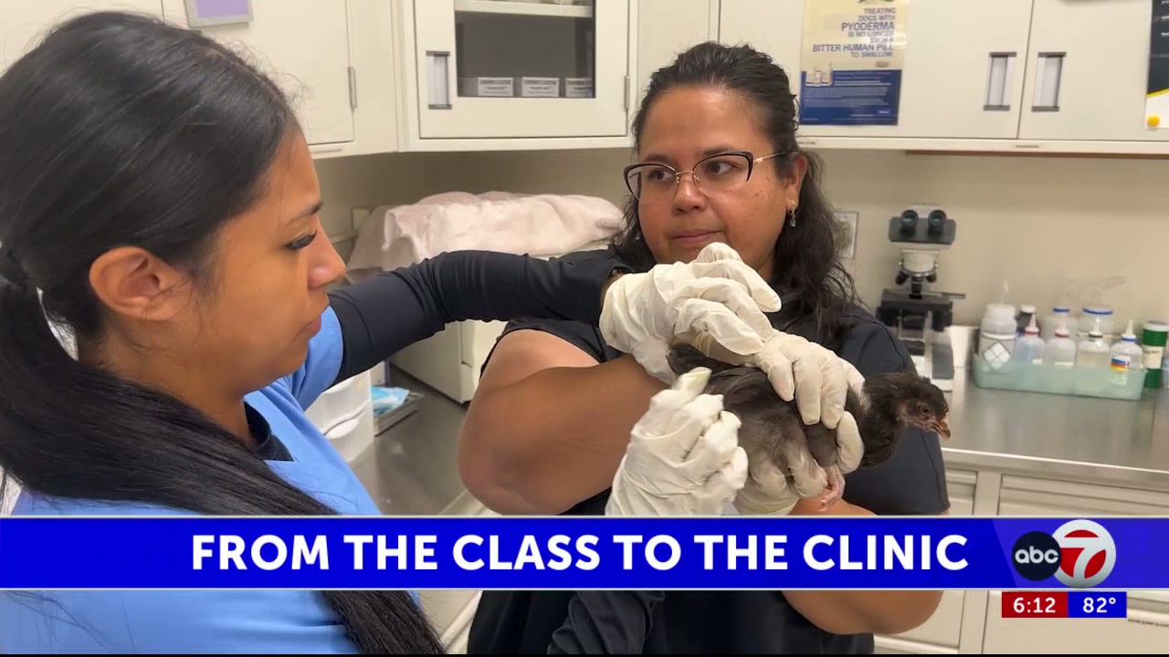 EPISD students gain real-world veterinary experience in a unique classroom setting