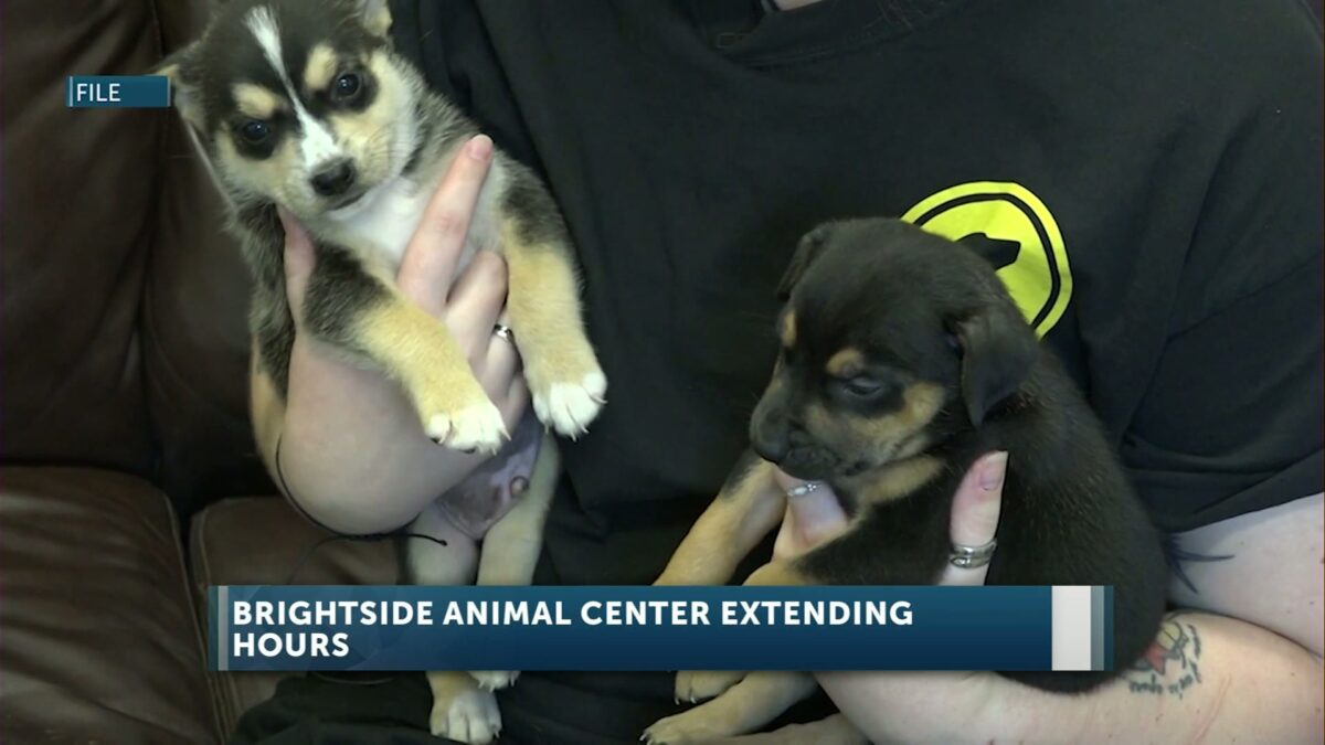 Redmond’s BrightSide Animal Center soon will be open on Sundays; kickoff celebration planned